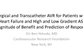 Surgical and Transcatheter Aortic Valve Replacement for Patients With Heart Failure and High and Low Gradient Aortic Stenosis: Magnitude of Benefit and Prediction of Responders