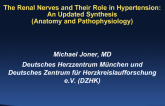 The Renal Nerves and Their Role in Hypertension: An Updated Synthesis (Anatomy and Pathophysiology)