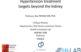 Hypertension Treatment Targets Beyond the Kidneys