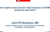 Non-Culprit Lesion Chronic Total Occlusions in STEMI: Should We Open Them?