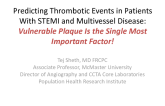 DEBATE: Predicting Thrombotic Events in Patients With STEMI and Multivessel Disease: Vulnerable Plaque Is the Single Most Important Factor!