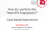 How Do I Perform the "Ideal BTK Angioplasty?" Case-Based Experiences