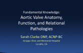 Fundamental Knowledge: Aortic Valve Anatomy, Function, and Relational Pathology
