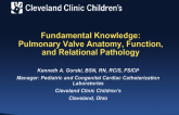 Fundamental Knowledge: Pulmonic Valve Anatomy, Function, and Relational Pathology