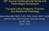 Fundamental Knowledge: Tricuspid Valve Anatomy, Function, and Relational Pathology