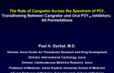 Transitioning Between Cangrelor and Oral P2Y12 Inhibitors: All the Permutations