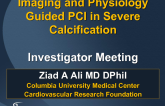 Case Presentations: Intravascular Imaging and Physiologic Assessment Should Be Mandatory When Treating Calcified Lesions