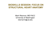 Bioskills Session: Focus on Structural Heart Anatomy