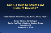 Can CT Help to Select LAA Closure Devices?