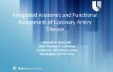 Integrated Anatomical and Functional Assessment of Coronary Artery Stenosis
