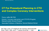 CT For Procedural Planning in CTO and Complex Coronary Interventions