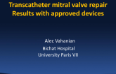 Transcatheter Mitral Valve Repair: Results With Approved Devices (US and OUS)