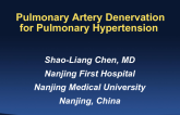 Pulmonary Artery Denervation for Pulmonary Hypertension II: Catheter Development, Procedure, and Acute and Late Hemodynamic Results