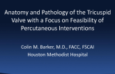 Anatomy and Pathology of the Tricuspid Valve With a Focus on Feasibility of Percutaneous Interventions
