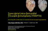 Transcatheter Tricuspid Valve Therapies 7: TRAIPTA Description, Results and a Case