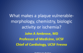 What Makes a Plaque Vulnerable: Morphology, Chemistry, Biologic Activity, or Ischemia?