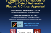 Strengths and Limitations of OCT to Detect Vulnerable Plaque: A Critical Appraisal