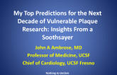 My Top Predictions for the Next Decade of Vulnerable Plaque Research: Insights From a Soothsayer