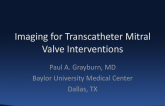 Imaging for Tanscatheter Mitral Valve Interventions