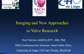 Imaging and New Approaches to Valve Research