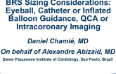 BRS Sizing Considerations: Eyeball, Catheter or Inflated Balloon Guidance, QCA or Intracoronary Imaging (With Case Examples)?