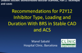 Recommendations for P2Y12 Inhibitor Type, Loading and Duration With BRS in Stable CAD and ACS