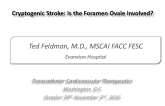 Case #2 - Introduction: Cryptogenic Stroke: Is the Foramen Ovale Involved?