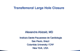 Transfemoral Large Hole Closure Devices: Manta, Inseal, and Others