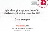 Hybrid Surgical Approaches Offer the Best Options for Complex PAD: Case Examples