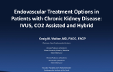 Endovascular Treatment Options in Patients With Chronic Kidney Disease: IVUS, CO2 Assisted, and Hybrid