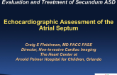 Echocardiographic Assessment of the Atrial Septum