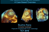 TEE Before and During LAA Closure: A Case Based Overview