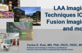Additional LAA Imaging Techniques (Beyond TEE and CT): ICE, Fusion Imaging, and More