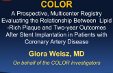 COLOR: A Prospective, Multicenter Registry Evaluating the Relationship Between Lipid-Rich Plaque and Two-Year Outcomes After Stent Implantation in Patients With Coronary Artery Disease