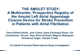 AMULET OBSERVATIONAL STUDY: Multicenter, Prospective, Registry Results With a Left Atrial Appendage Closure Device for Stroke Prevention in Patients With Atrial Fibrillation