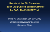 Results of the FIH Chocolate Touch Drug Coated Balloon Catheter for PAD: The ENDURE Trial