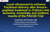 Local Ultrasound to Enhance Paclitaxel Delivery after Femoro-Popliteal Treatment in Critical Limb Ischemia: Immediate and Midterm Results of the PACUS Trial