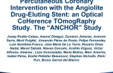 Percutaneous Coronary Intervention with the ANgiolite Drug-Eluting Stent: an Optical CoHerence TOmogRaphy Study. The “ANCHOR” Study