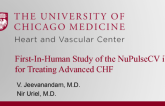 First-In-Human Study of the NuPulseCV iVAS for Treating Advanced CHF