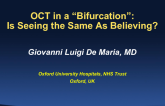 Case #1: OCT in a Bifurcation: Is Seeing the Same As Believing?