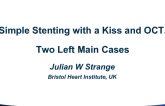 Case #3: Simple Stenting With a Kiss and OCT