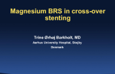 Case #12: Magnesium BRS in Cross-Over Stenting