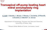 TCT 1620: First-In-Human of Transapical Off-Pump Mitral Valve Repair With Catheter Delivered Annuloplasty Ring for Functional Mitral Regurgitation