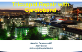 Transcatheter Tricuspid Valve Therapies 6: Cardioband TR Description, Results and a Case
