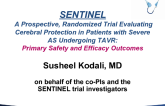 SENTINEL: A Prospective, Randomized Trial Evaluating Cerebral Protection in Patients With Severe Aortic Stenosis Undergoing Transcatheter Aortic Valve Replacement