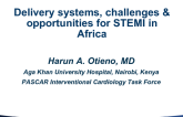 Delivery System and Therapeutic Challenges and Opportunities in Africa