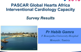 PASCAR: Global Hearts Sub-Saharan Africa PCI Capacity Survey Results