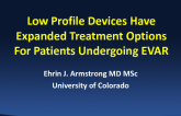 Low-Profile Devices Have Expanded Treatment Options for Patients Undergoing EVAR