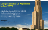 Comprehensive CT Algorithm Before TAVR