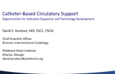High-Risk PCI and Cardiogenic Shock: The Role of Hemodynamic Support